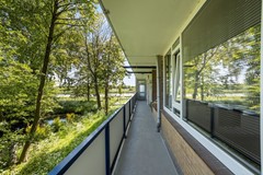 original (3).jpg